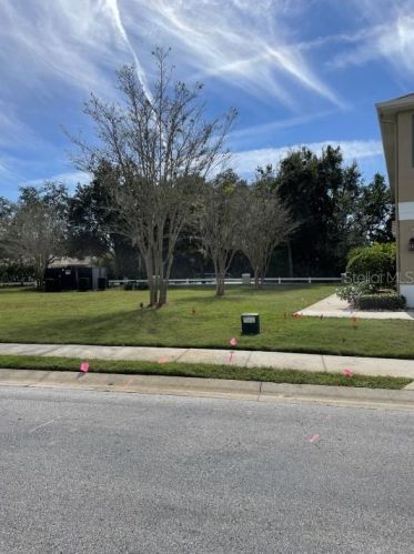 8356 Shallow Crk Ct, New Port Richey FL 34653-7020 exterior