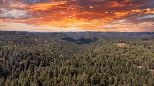 24871 Ridgecrest Dr, Pioneer CA  95666-9492 exterior