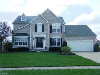 3670 Muir Tap Dr, Medina OH  44256-6466 exterior