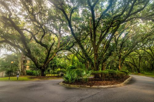 60 Fenwick Hall Aly, Johns Island SC  29455-3127 exterior