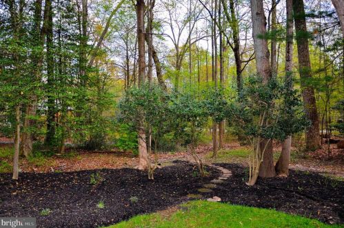 12134 Quorn Ln, Herndon, VA 20191-2637