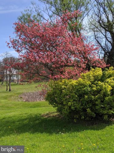 210 Hoernerstown Rd, Hummelstown PA  17036-9503 exterior