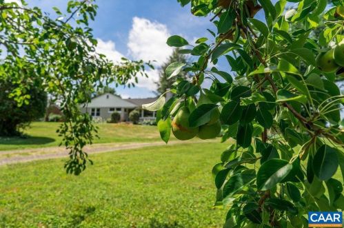 10166 Glebe Rd, Madison Mills VA  22960-2334 exterior