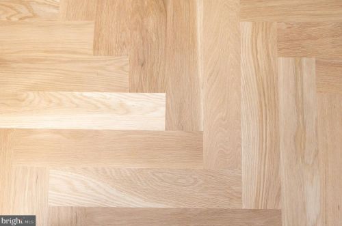 3302 Cleveland Ave, Washington DC 20008-3456 exterior