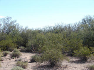 17866 Lickskillet Ln, Marana, AZ 85653-8210