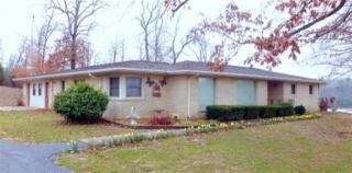 1470 Tatumsville Hwy, Gilbertsville, KY 42044-9117