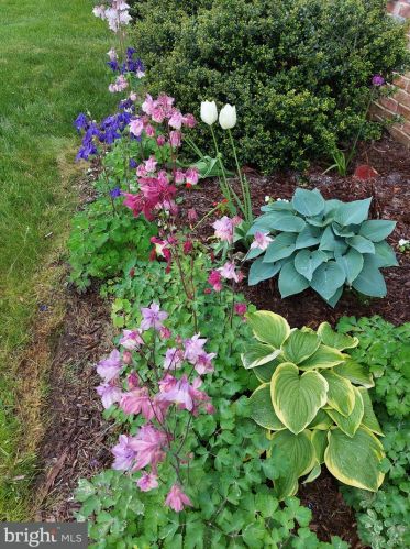 35 Marble House Dr, Bear DE  19701-4023 exterior