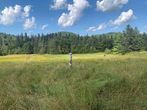 145 Hartlen Ave, Columbia, NH 03576-3773