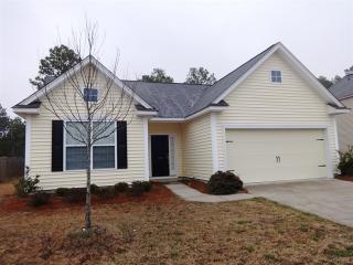 171 Mesa Verde Dr, Lexington SC  29073-6893 exterior