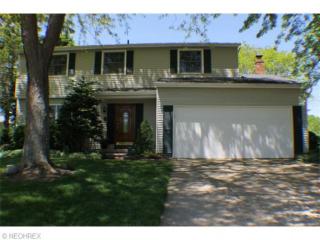 3353 Fillmore Dr, Brunswick, OH 44212-3711