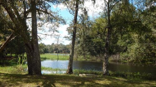 17639 Palamino Lk Dr, Dade City FL 33523-1949 exterior