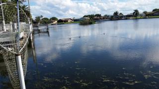 1966 Coolidge Rd, Tarpon Springs, FL 34691-3643