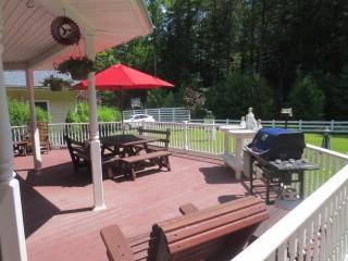 603 Katrina Falls Rd, Rock Hill NY  12775-6055 exterior