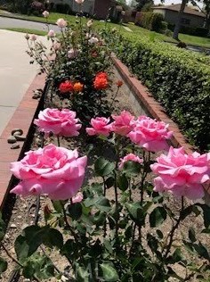 1356 Winston Ct, Upland CA 91786-3215 exterior