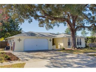 12829 Walnut Tree Ln, Port Richey, FL 34669-2867