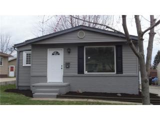423 Hopocan Ave, Barb, OH 44203-3041