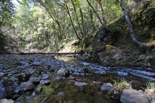 21470 Orr Springs Rd, Ukiah, CA 95482-9050