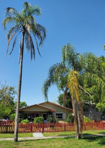 5167 6th Ave, Saint Petersburg, FL 33707-2611