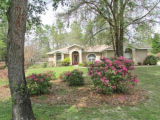8755 211th Cir, Dunnellon, FL 34431-5638