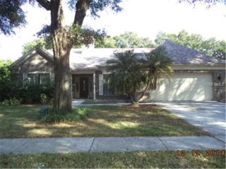 15613 Indian Queen Dr, Odessa, FL 33556-3012