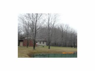 6201 Ballou Rd, Medina, OH 44256-7536