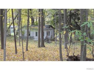 1459 Lakes Rd, Monroe, NY 10950-4225