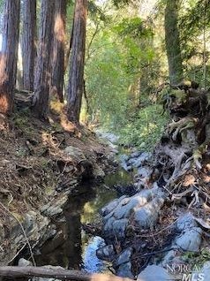 1194 Standley St, Ukiah CA  95482-4231 exterior