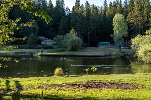11534 Country View Way, Grass Valley, CA 95945-7607