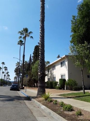 781 Sharmon Palms Ln, Campbell, CA 95008-5205