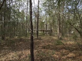 154 Whitlock Way, Crawfordville, FL 32327-0110
