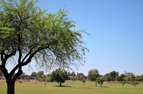 17017 12th St, Phoenix AZ 85022-2026 exterior