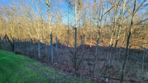 6019 Bridgehaven Dr, Milford, OH 45150-5624