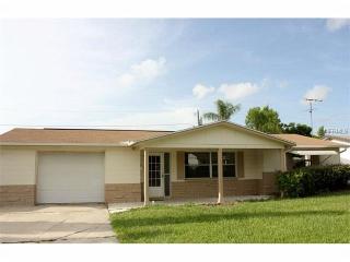 5041 Springland Dr, Tarpon Springs, FL 34690-2049