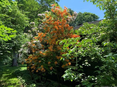 156 Green Manor Rd, Manchester CT  06042-3361 exterior