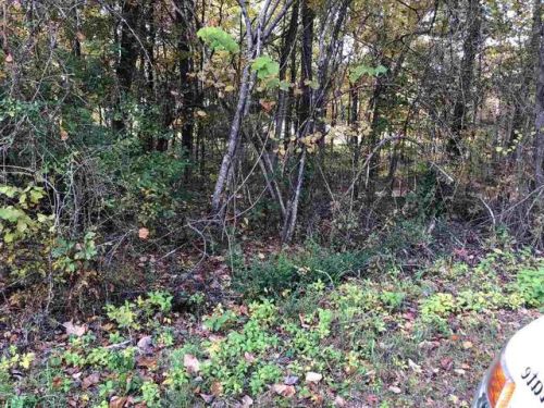 1014 Mountain View Ln, White Pine, TN 37890