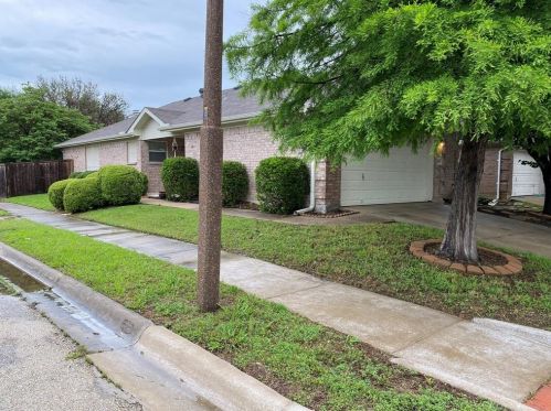 1003 Cruise St, Denton TX  76207-8137 exterior