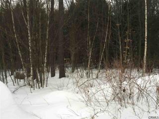 220 White Birch Rd, Sacandaga, NY 12134-5523