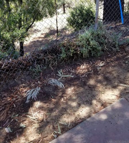 6333 College Grove Way, San Diego CA  92115-7209 exterior