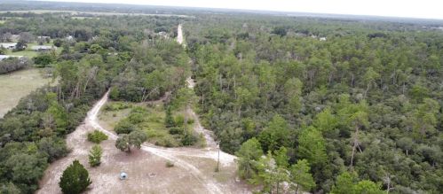 19819 Saltsdale Rd, Umatilla, FL 32784-9242