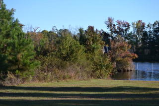 500 Mallard Dr, Sumter, SC 29150-3190