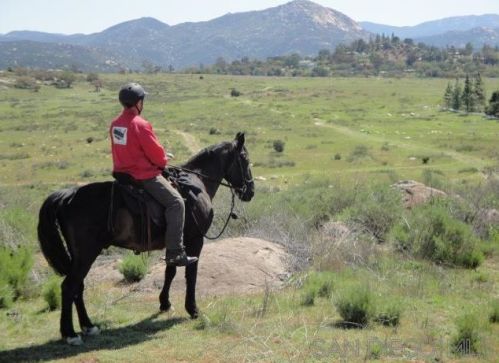 2435 Deland Dr, Alpine CA  91901-3192 exterior