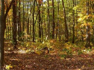 28 Spring St, Biltmore Lake, NC 28715-8304