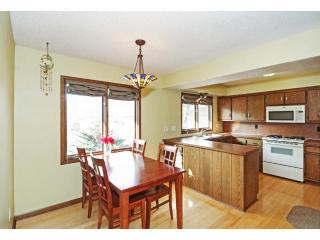 1691 Camelot Ln, Minneapolis, MN 55432-5217