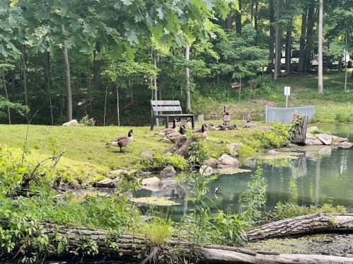 338 Union Valley Rd, Mahopac NY  10541-4333 exterior