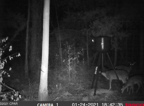 3438 Hwy 73, Marianna FL 32446-2478 exterior