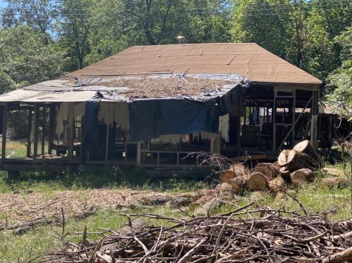 15585 Hinton Rd, Pioneer CA  exterior