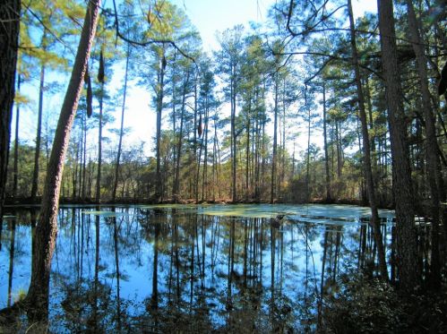 243 Midland Dr, Graniteville, SC 29829-4042