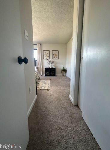 318 Bridge St, Collegeville PA  19426-3502 exterior