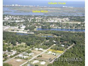 1012 Flying M Ct, Edgewater, FL 32132-3053