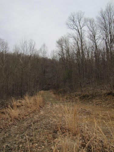 24480 Bushby Rd, Laurelville OH  43152-9712 exterior